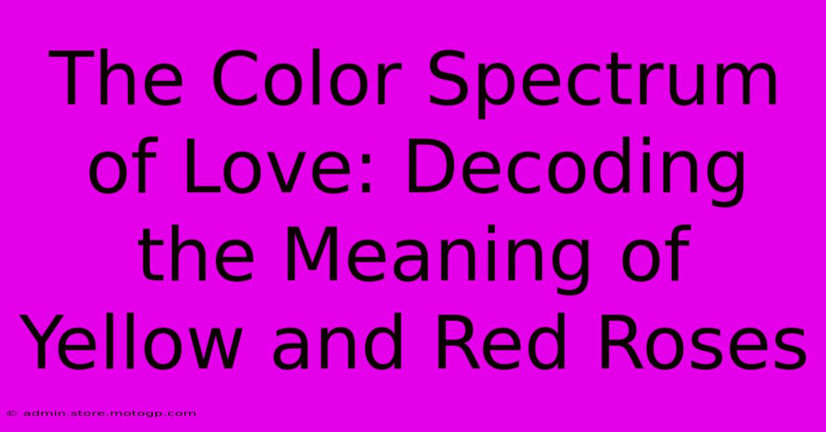 The Color Spectrum Of Love: Decoding The Meaning Of Yellow And Red Roses