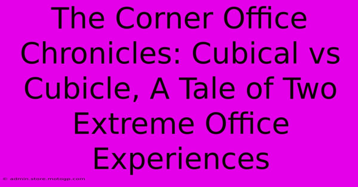 The Corner Office Chronicles: Cubical Vs Cubicle, A Tale Of Two Extreme Office Experiences