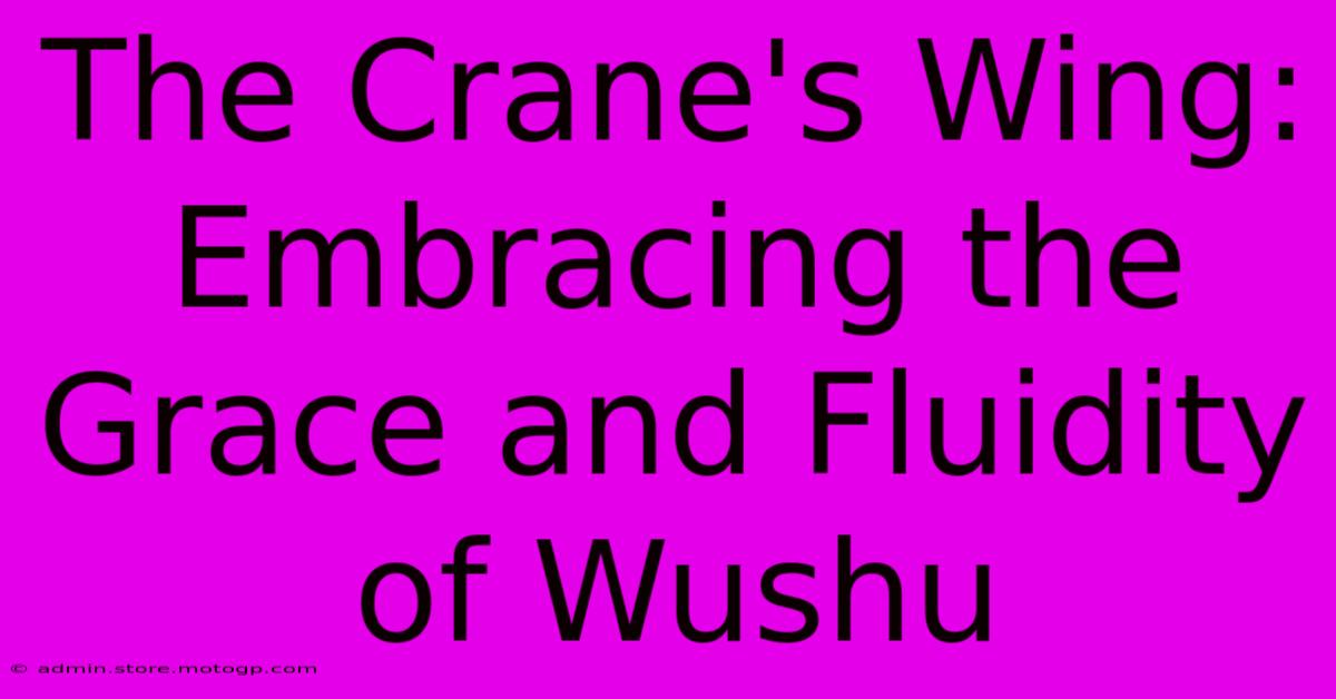 The Crane's Wing: Embracing The Grace And Fluidity Of Wushu