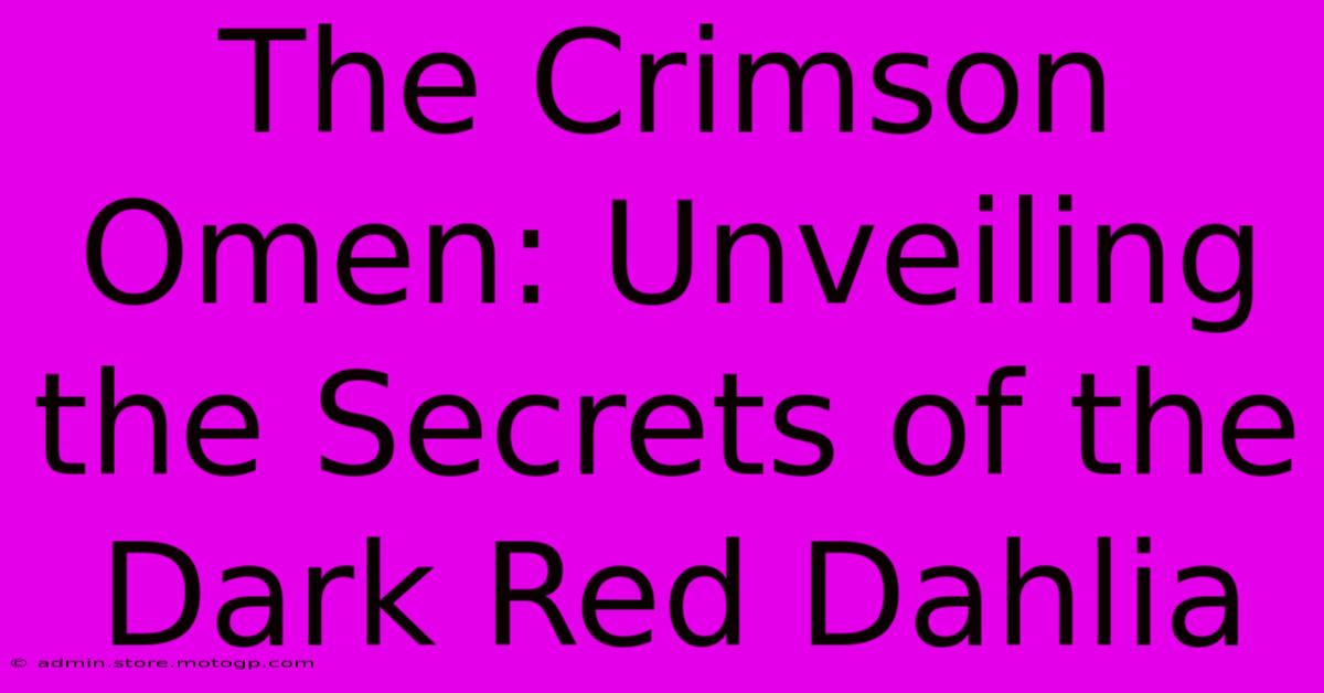 The Crimson Omen: Unveiling The Secrets Of The Dark Red Dahlia