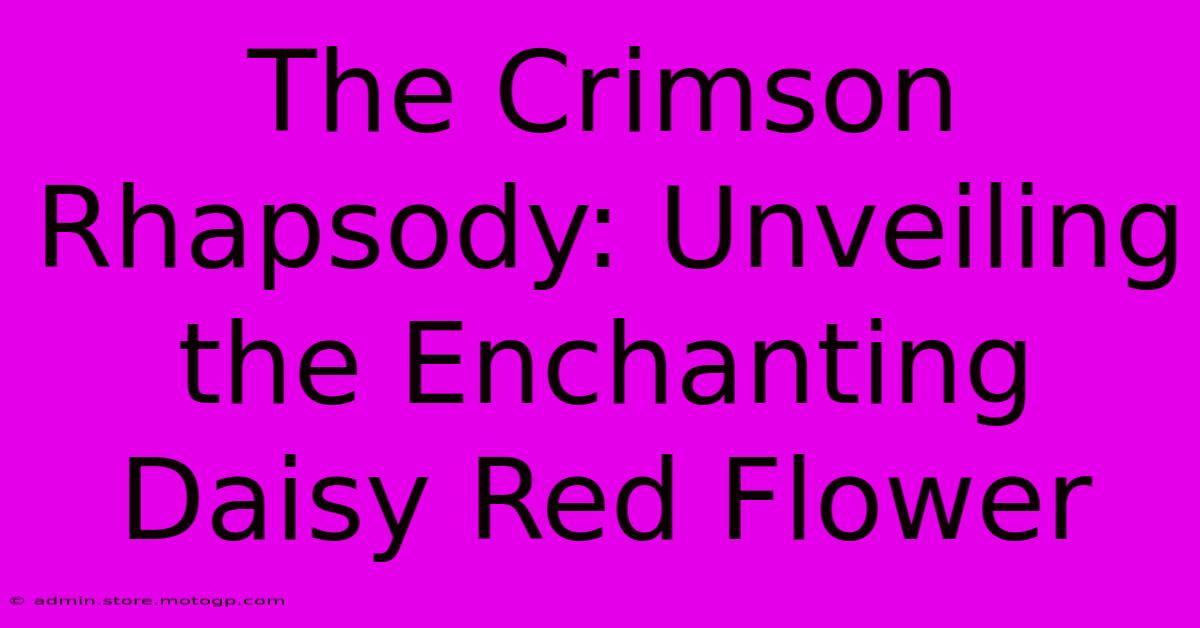 The Crimson Rhapsody: Unveiling The Enchanting Daisy Red Flower