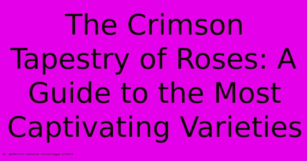 The Crimson Tapestry Of Roses: A Guide To The Most Captivating Varieties