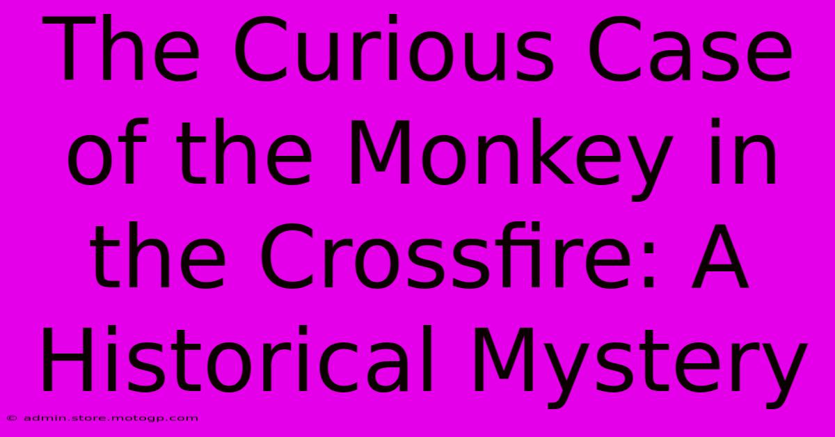 The Curious Case Of The Monkey In The Crossfire: A Historical Mystery