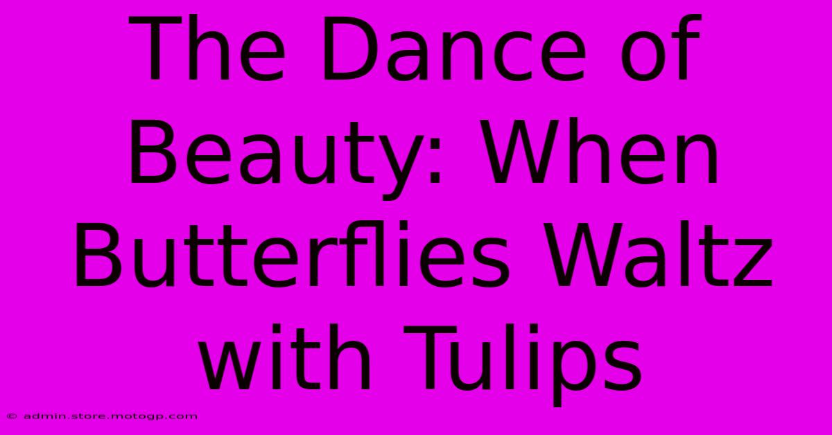 The Dance Of Beauty: When Butterflies Waltz With Tulips