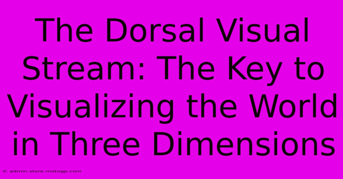 The Dorsal Visual Stream: The Key To Visualizing The World In Three Dimensions