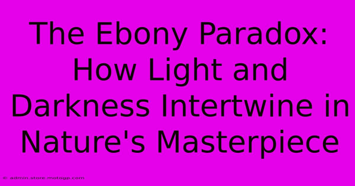 The Ebony Paradox: How Light And Darkness Intertwine In Nature's Masterpiece