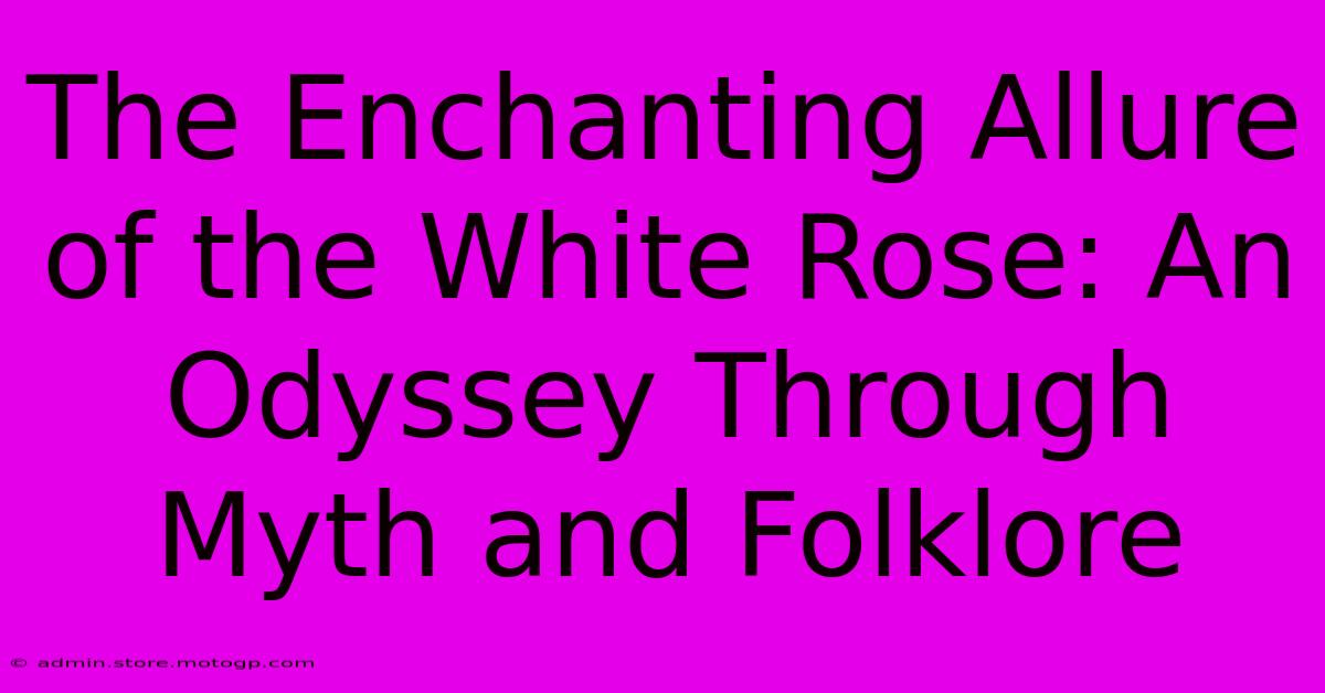 The Enchanting Allure Of The White Rose: An Odyssey Through Myth And Folklore