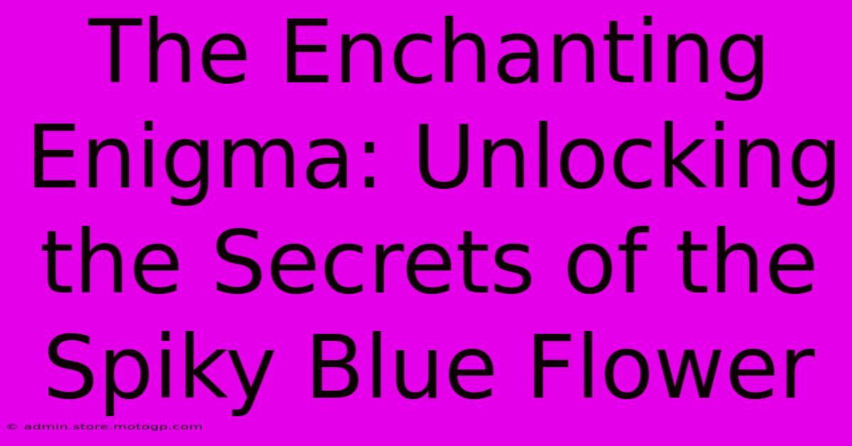 The Enchanting Enigma: Unlocking The Secrets Of The Spiky Blue Flower