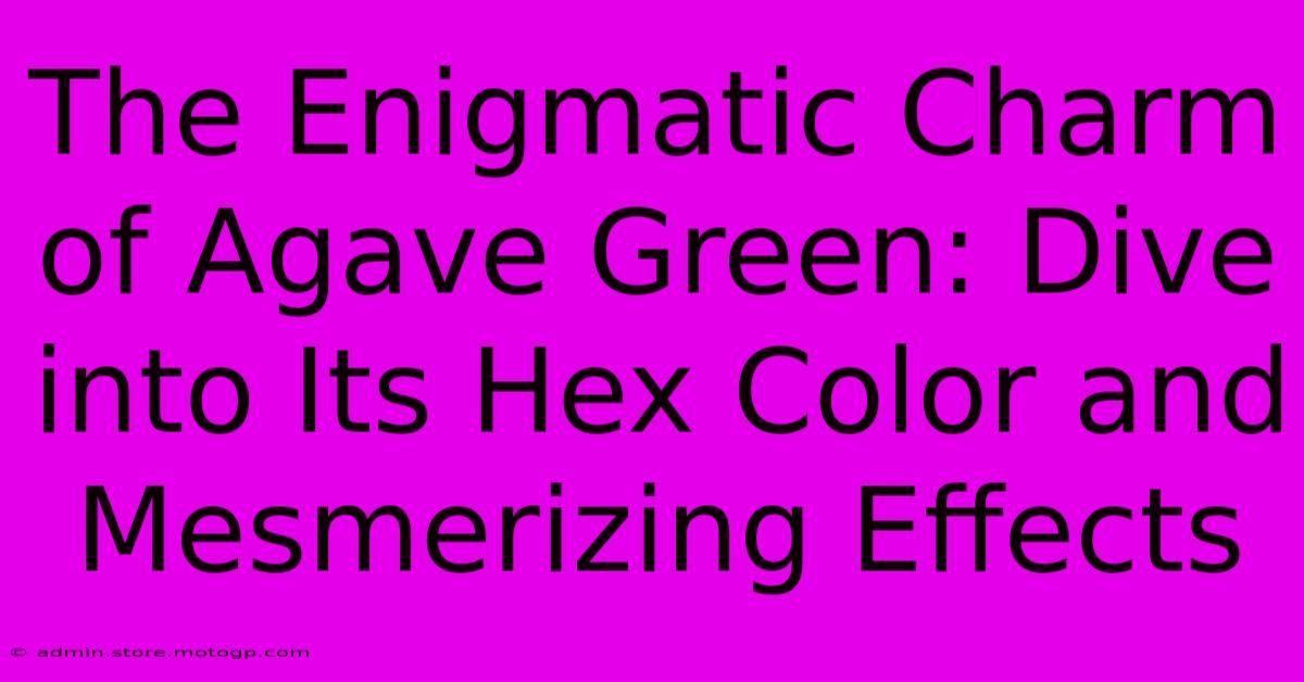 The Enigmatic Charm Of Agave Green: Dive Into Its Hex Color And Mesmerizing Effects