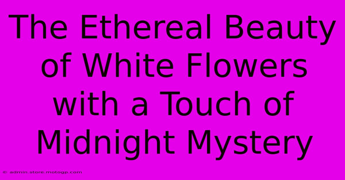 The Ethereal Beauty Of White Flowers With A Touch Of Midnight Mystery