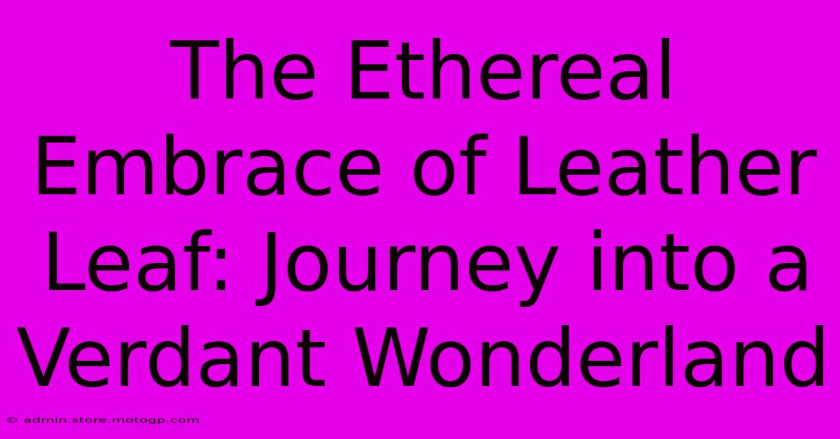 The Ethereal Embrace Of Leather Leaf: Journey Into A Verdant Wonderland