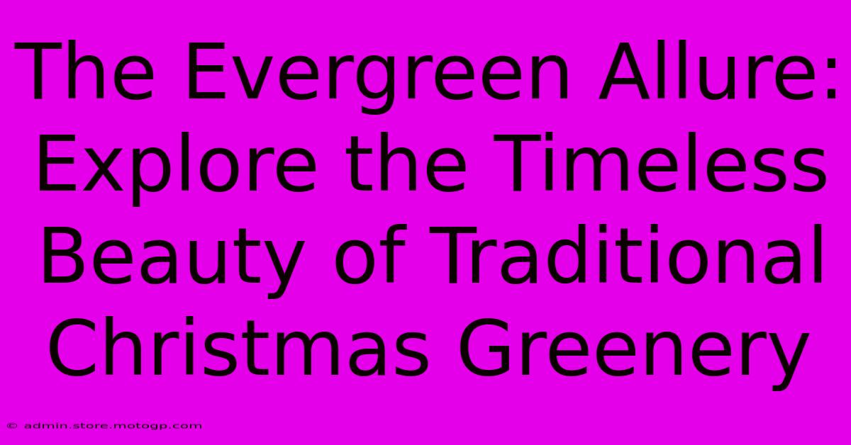 The Evergreen Allure: Explore The Timeless Beauty Of Traditional Christmas Greenery