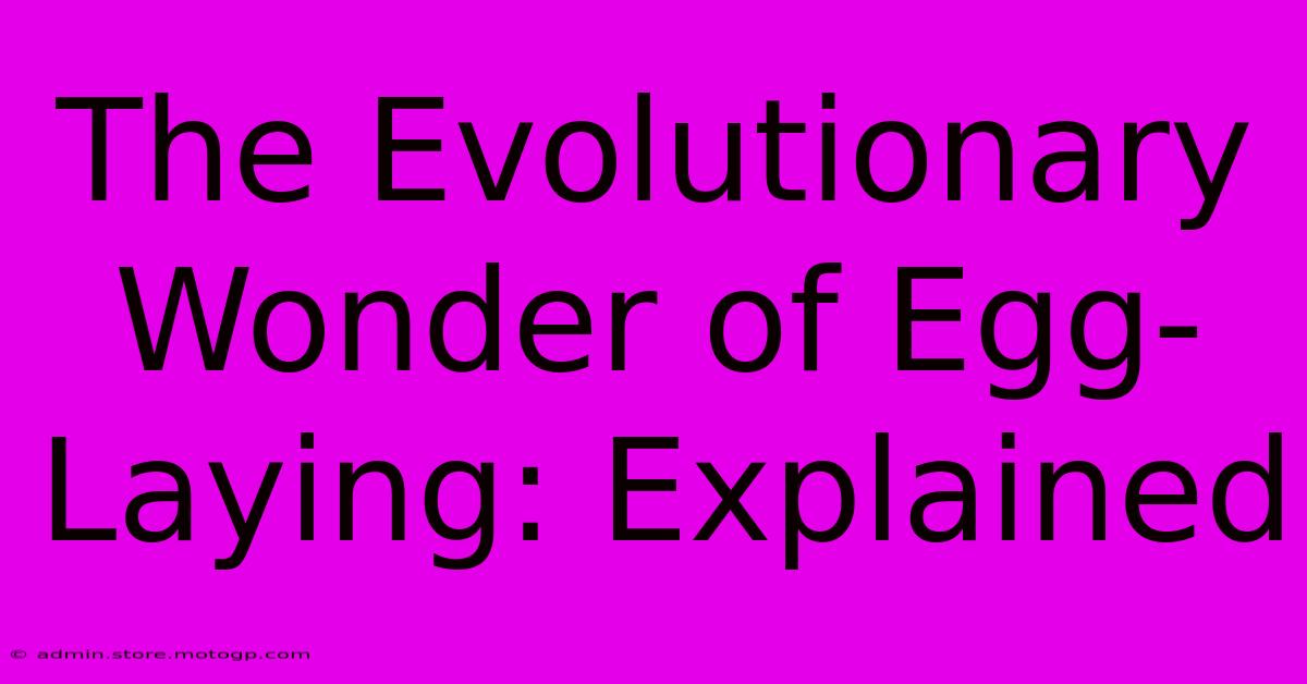 The Evolutionary Wonder Of Egg-Laying: Explained