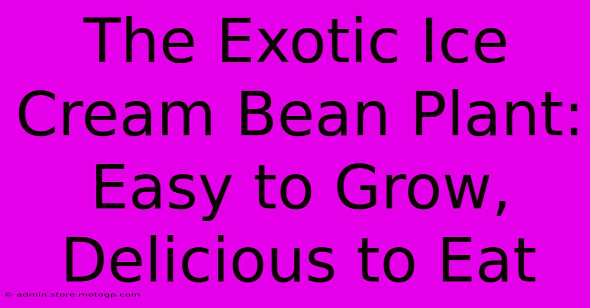 The Exotic Ice Cream Bean Plant: Easy To Grow, Delicious To Eat