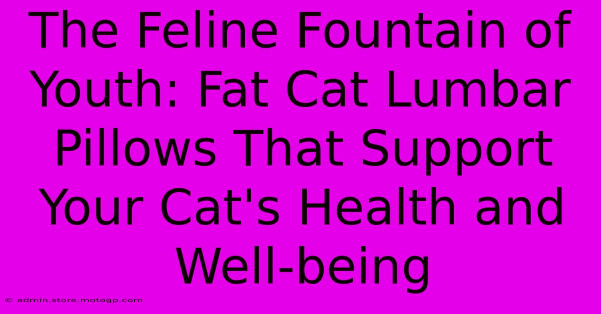 The Feline Fountain Of Youth: Fat Cat Lumbar Pillows That Support Your Cat's Health And Well-being