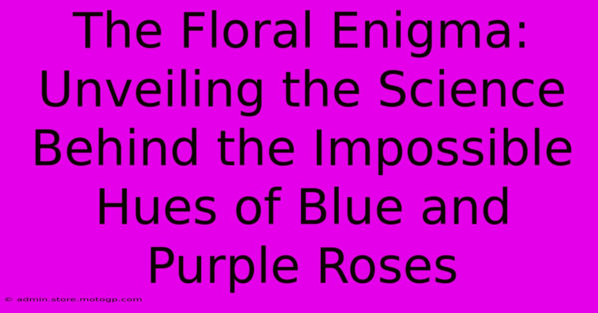 The Floral Enigma: Unveiling The Science Behind The Impossible Hues Of Blue And Purple Roses