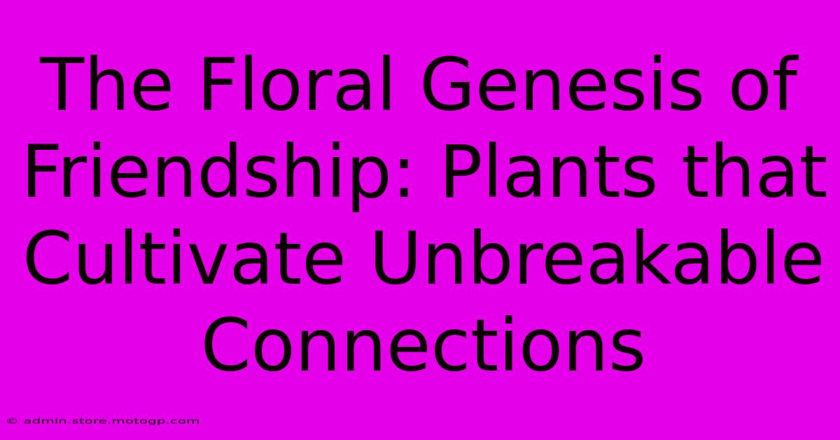 The Floral Genesis Of Friendship: Plants That Cultivate Unbreakable Connections