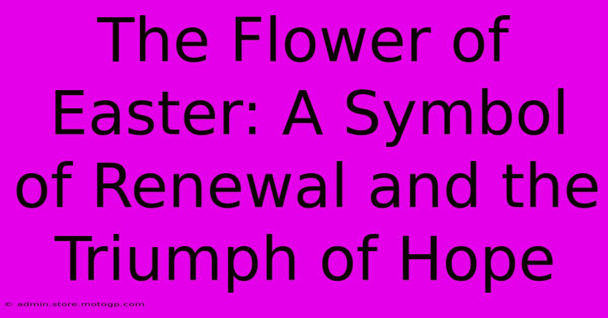 The Flower Of Easter: A Symbol Of Renewal And The Triumph Of Hope