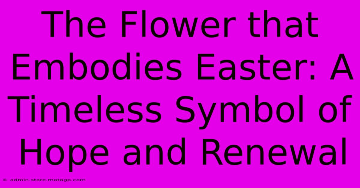 The Flower That Embodies Easter: A Timeless Symbol Of Hope And Renewal