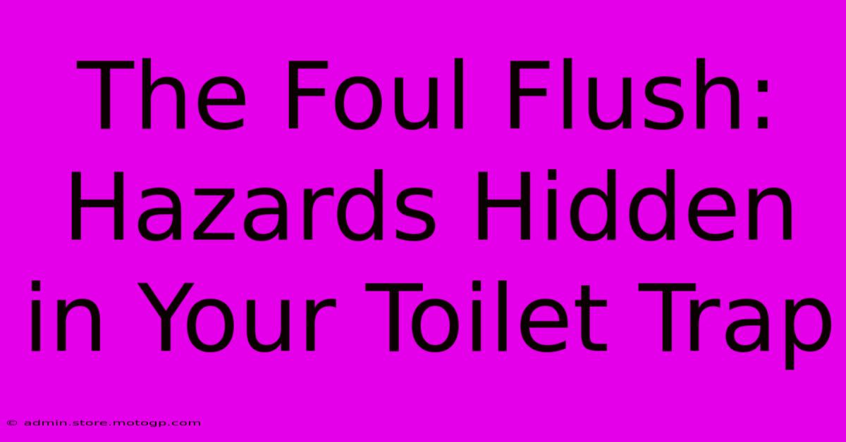 The Foul Flush: Hazards Hidden In Your Toilet Trap