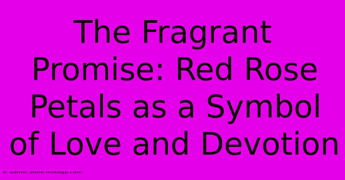 The Fragrant Promise: Red Rose Petals As A Symbol Of Love And Devotion