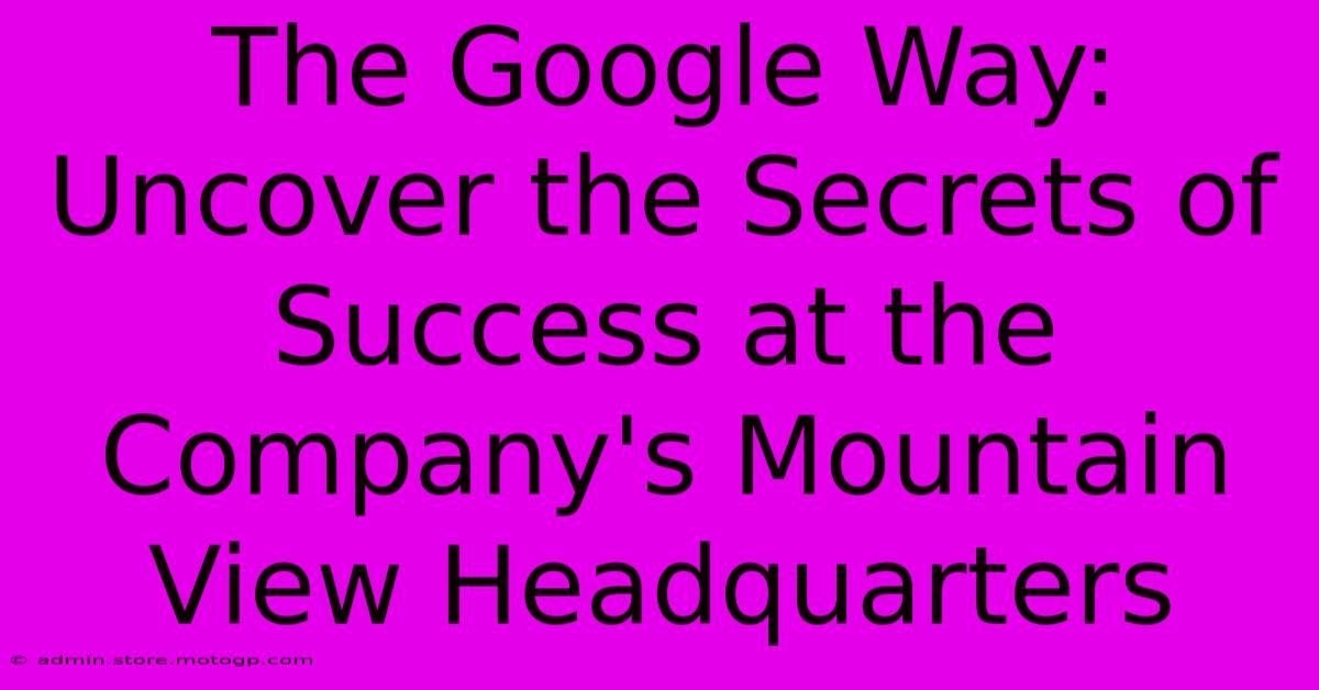 The Google Way: Uncover The Secrets Of Success At The Company's Mountain View Headquarters