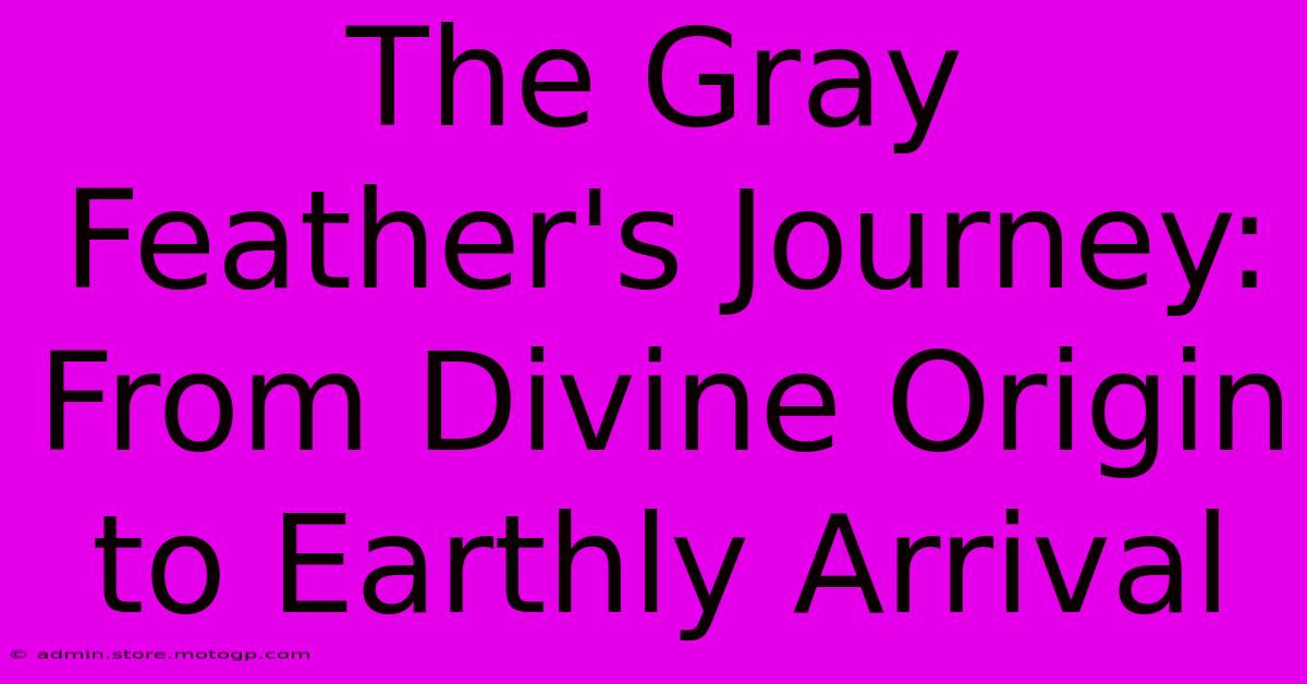 The Gray Feather's Journey: From Divine Origin To Earthly Arrival