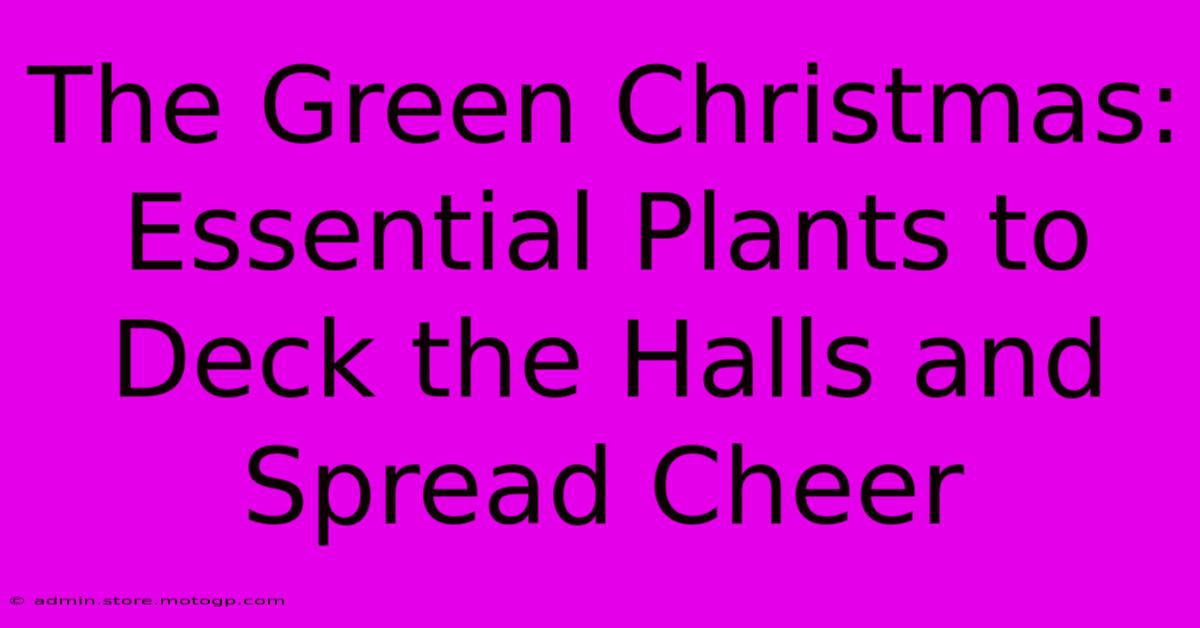 The Green Christmas: Essential Plants To Deck The Halls And Spread Cheer