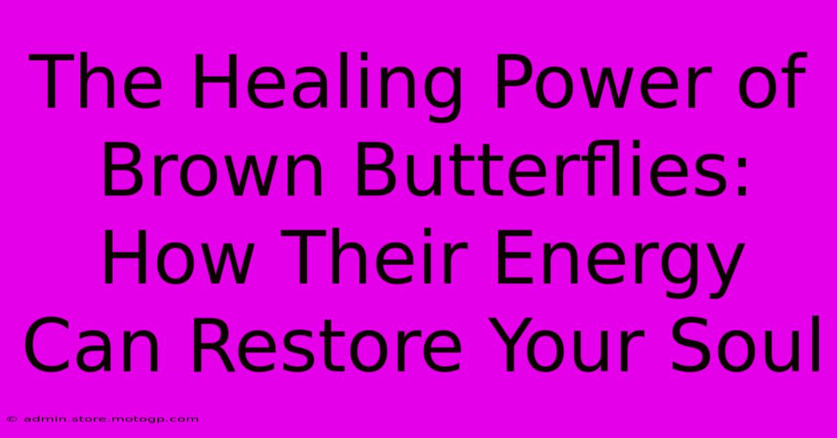 The Healing Power Of Brown Butterflies: How Their Energy Can Restore Your Soul