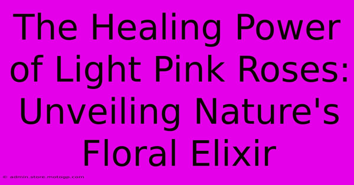 The Healing Power Of Light Pink Roses: Unveiling Nature's Floral Elixir