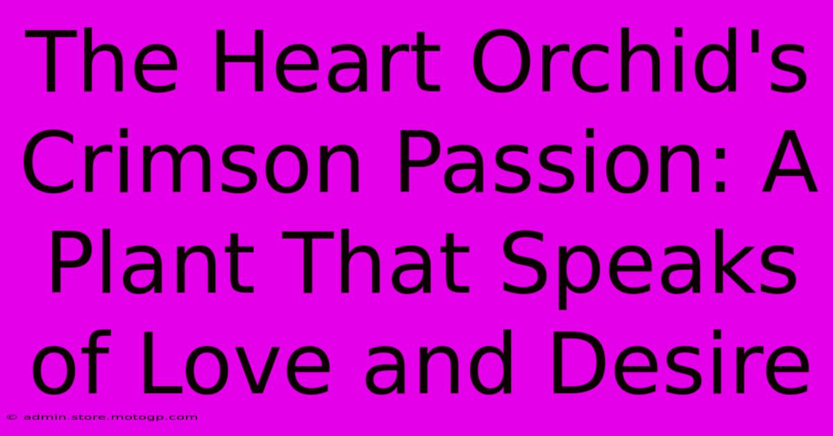 The Heart Orchid's Crimson Passion: A Plant That Speaks Of Love And Desire