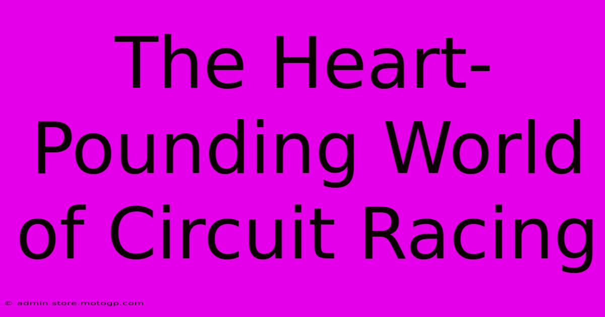 The Heart-Pounding World Of Circuit Racing