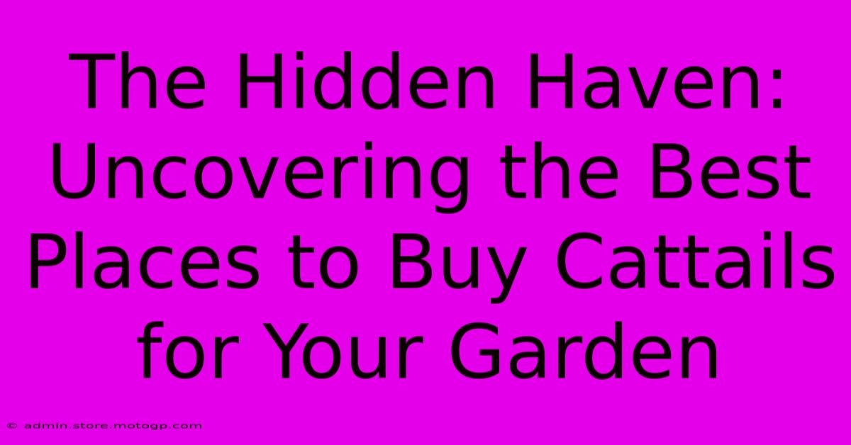 The Hidden Haven: Uncovering The Best Places To Buy Cattails For Your Garden