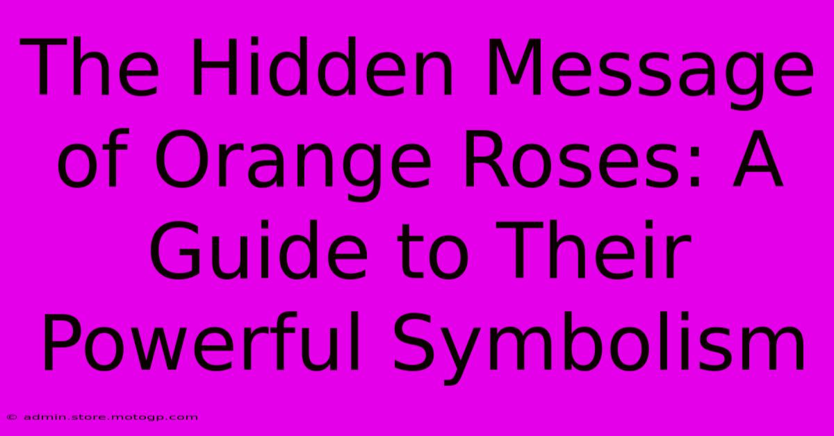 The Hidden Message Of Orange Roses: A Guide To Their Powerful Symbolism