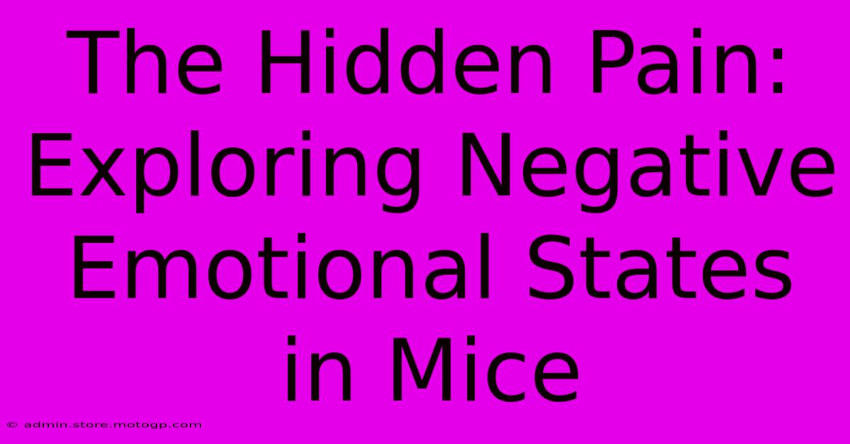 The Hidden Pain: Exploring Negative Emotional States In Mice