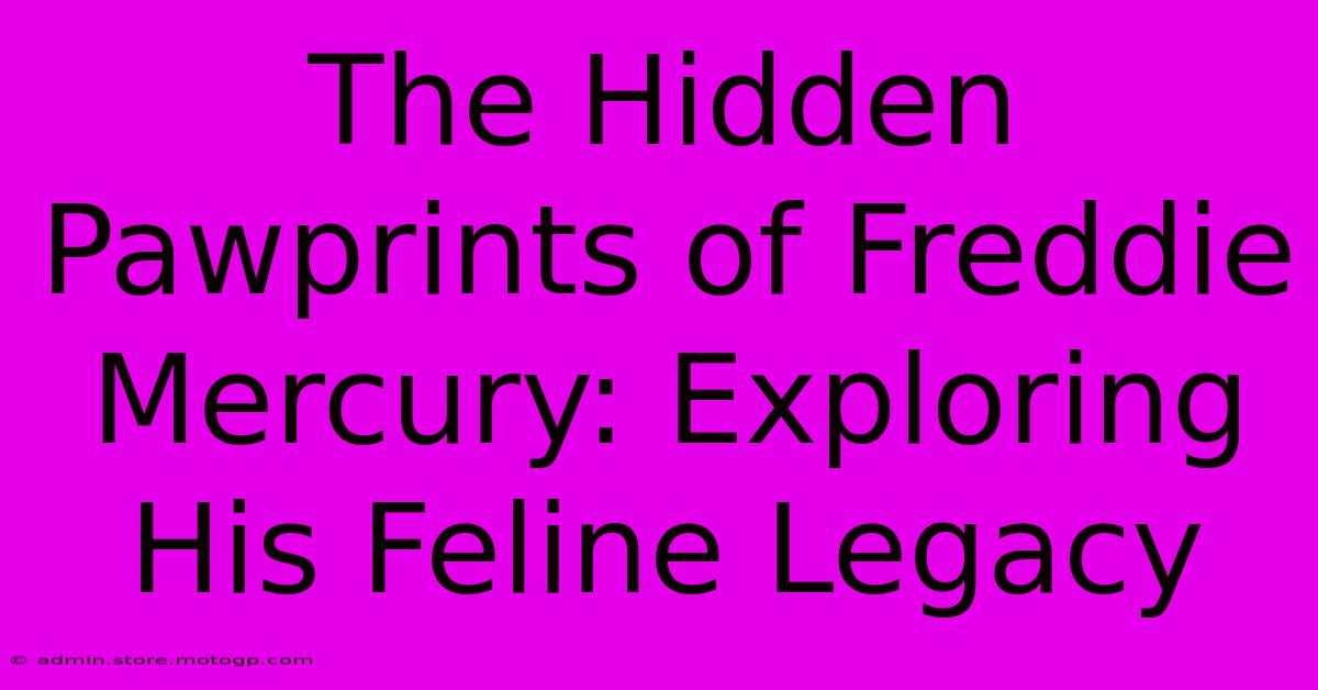 The Hidden Pawprints Of Freddie Mercury: Exploring His Feline Legacy