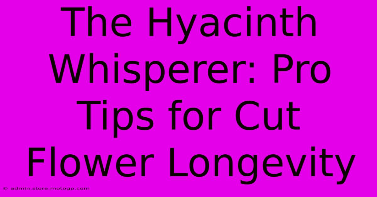 The Hyacinth Whisperer: Pro Tips For Cut Flower Longevity