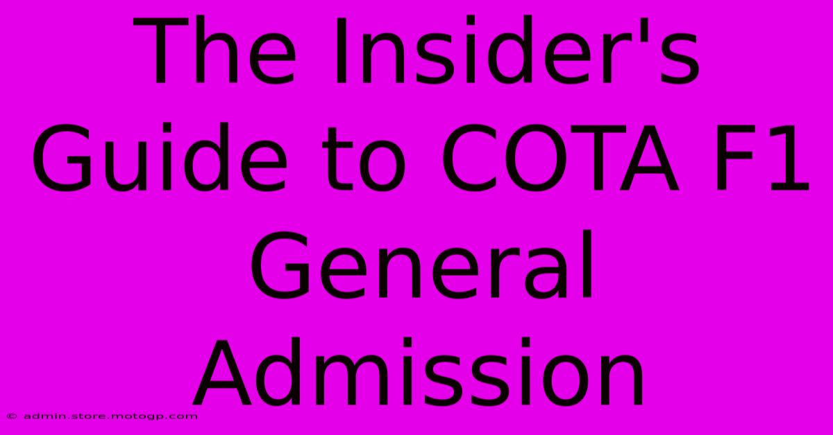 The Insider's Guide To COTA F1 General Admission