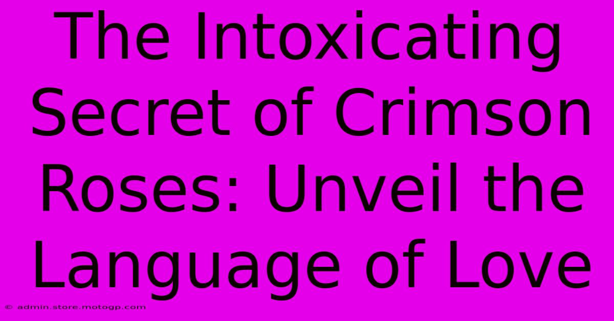 The Intoxicating Secret Of Crimson Roses: Unveil The Language Of Love