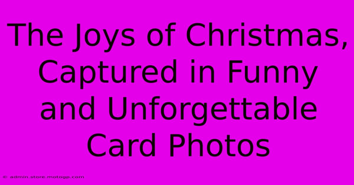 The Joys Of Christmas, Captured In Funny And Unforgettable Card Photos