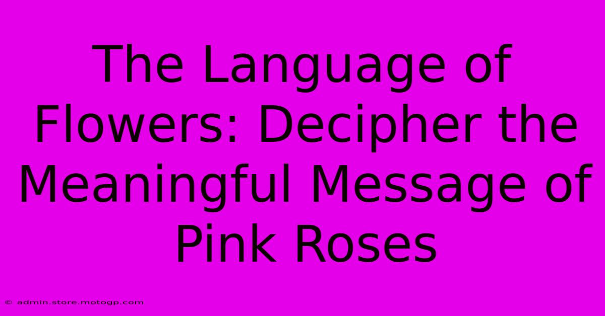 The Language Of Flowers: Decipher The Meaningful Message Of Pink Roses