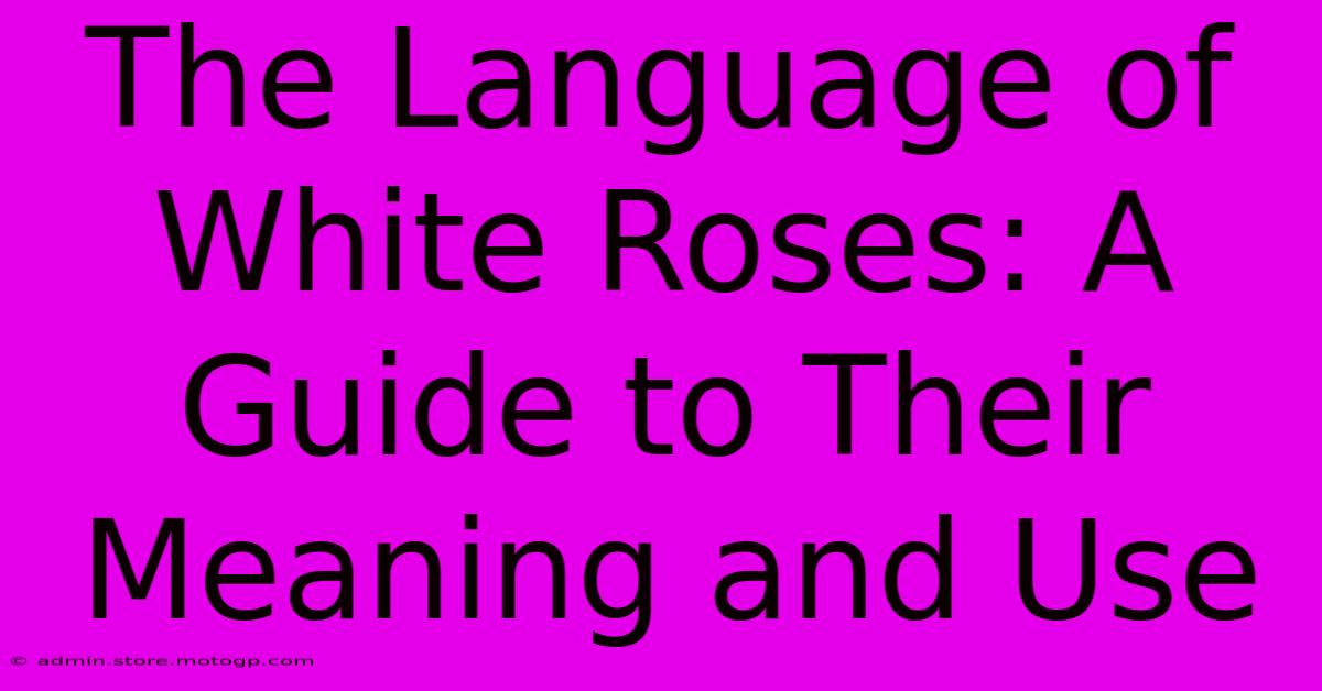 The Language Of White Roses: A Guide To Their Meaning And Use