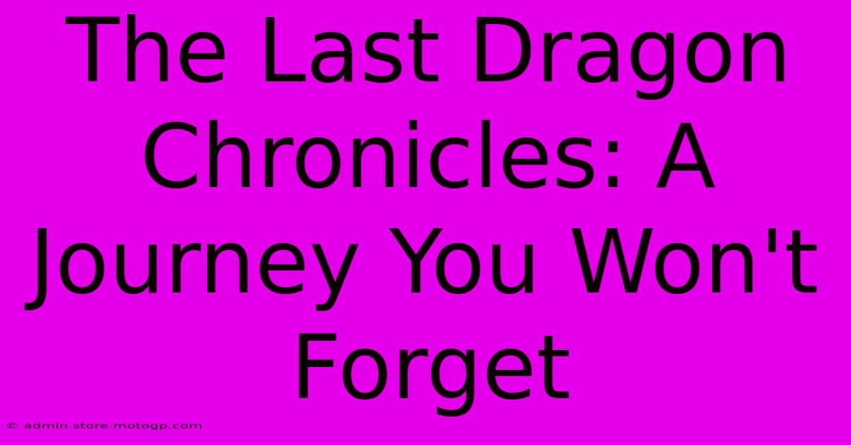 The Last Dragon Chronicles: A Journey You Won't Forget