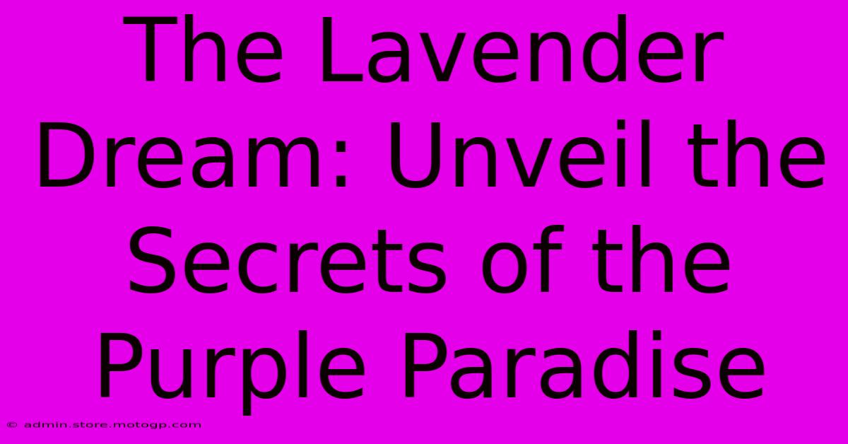 The Lavender Dream: Unveil The Secrets Of The Purple Paradise