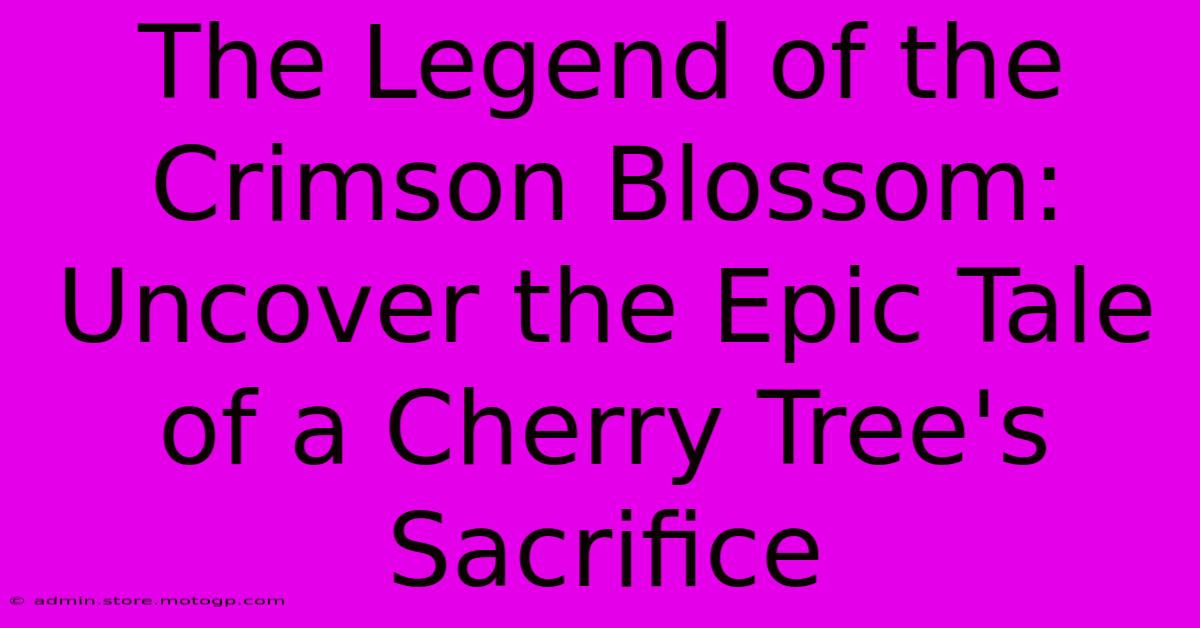 The Legend Of The Crimson Blossom: Uncover The Epic Tale Of A Cherry Tree's Sacrifice