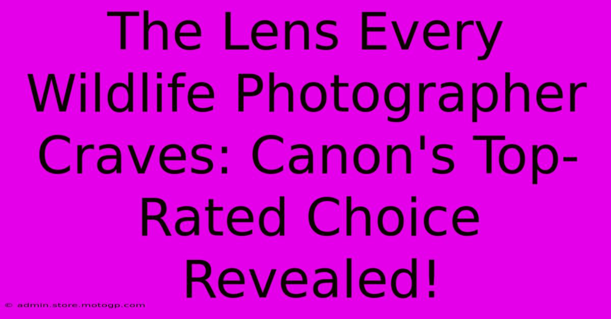 The Lens Every Wildlife Photographer Craves: Canon's Top-Rated Choice Revealed!