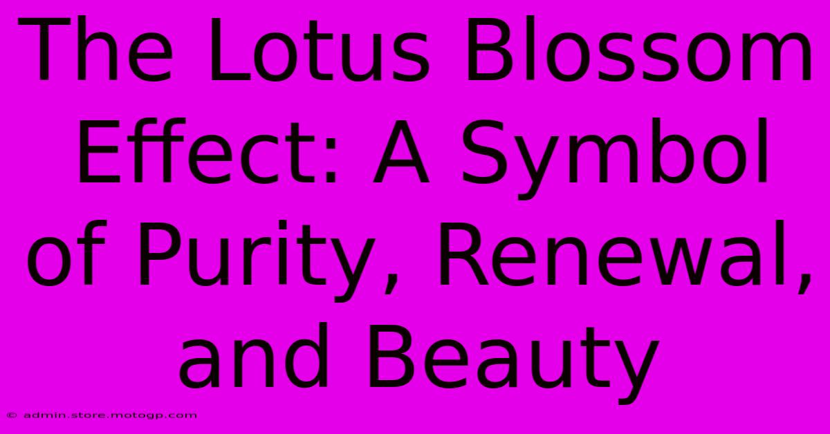 The Lotus Blossom Effect: A Symbol Of Purity, Renewal, And Beauty