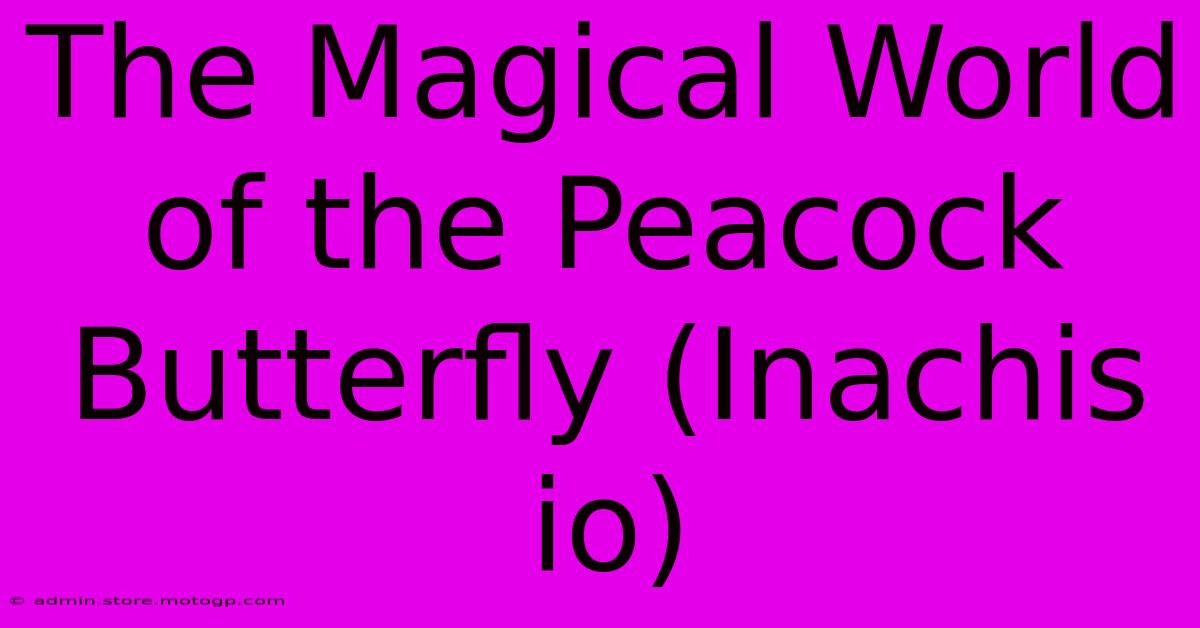 The Magical World Of The Peacock Butterfly (Inachis Io)