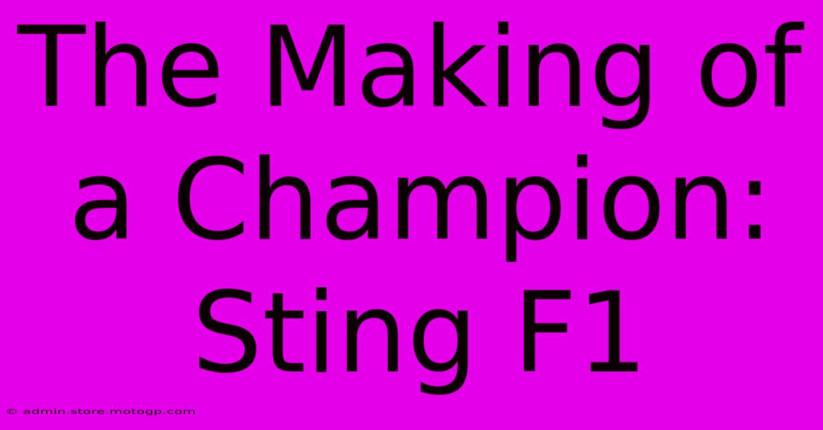 The Making Of A Champion: Sting F1