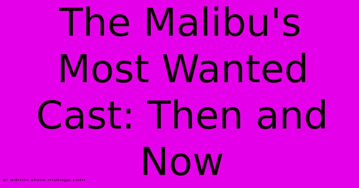 The Malibu's Most Wanted Cast: Then And Now